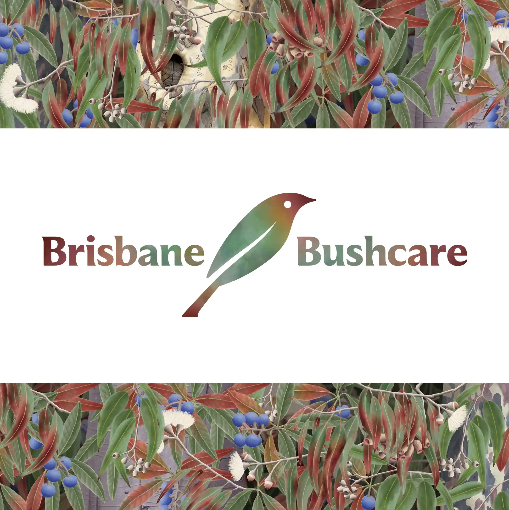 Brisbane Bushcare brand design